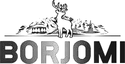 IDS Borjomi